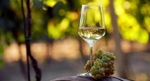 chardonnay price