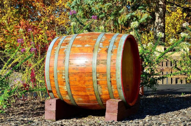 How Many Gallons In A Wine Barrel? DrinkStack