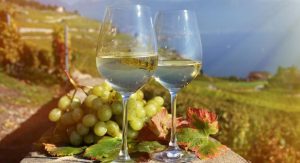 chardonnay vs riesling