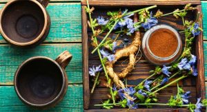 chicory coffee brands