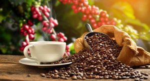 coffee brands starting with t