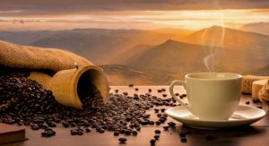 coffee brands starting with y