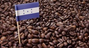 honduran coffee brands