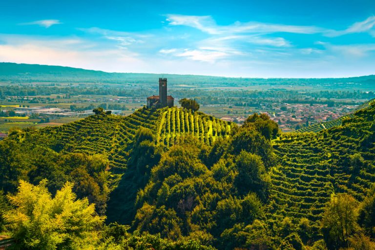 The 6 Best Wines Of Venice, Italy DrinkStack