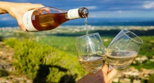wines of chile