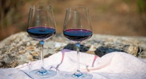wines of lazio