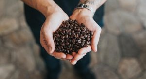 Kenyan coffee brands