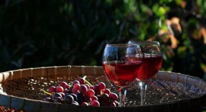 best organic red wine_1