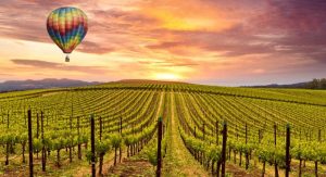 wines of california