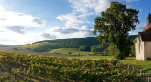 wines of chablis