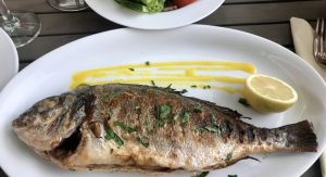 halibut wine pairing