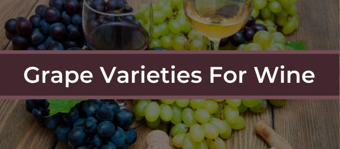 Grape Varieties Know Your Grapes That Form The Wine DrinkStack